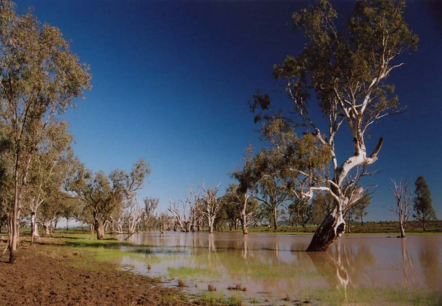 photo "Baan Bah" tags: travel, Australia