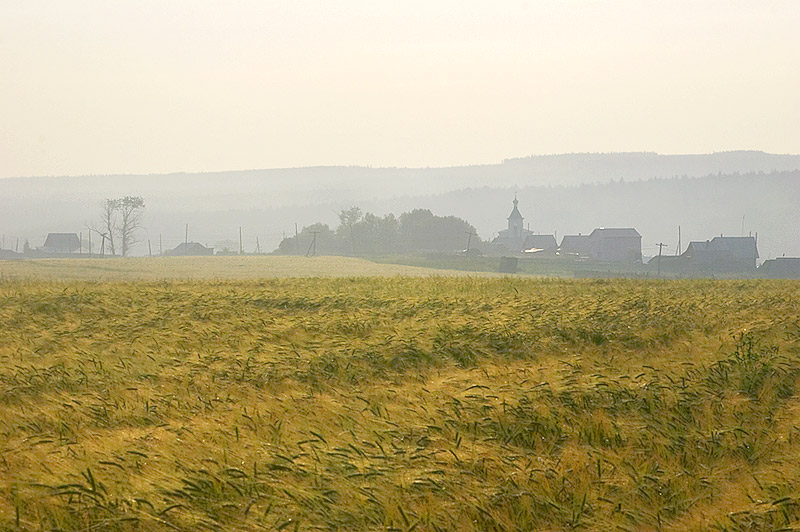 photo "Morning in the field near Nizhnee Selo" tags: landscape, summer