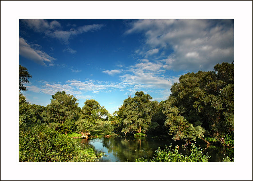 photo "edge native..." tags: landscape, forest, water