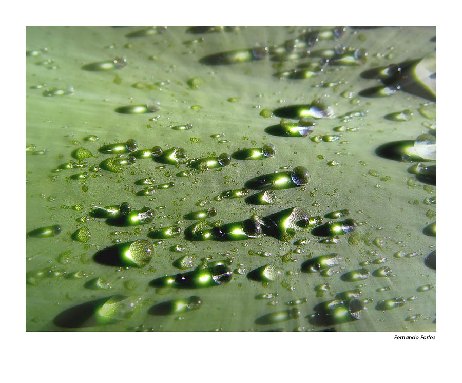 фото "Tears of Light" метки: абстракция, 