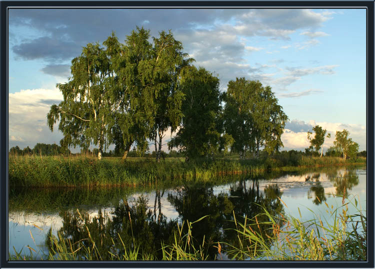 photo "The old lake" tags: landscape, sunset, water