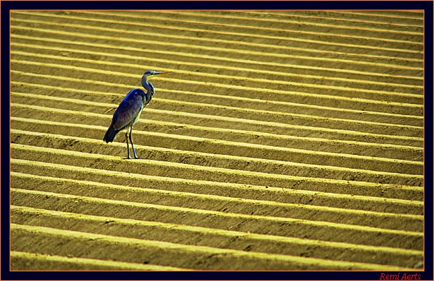 photo "no food hier" tags: nature, landscape, spring, wild animals