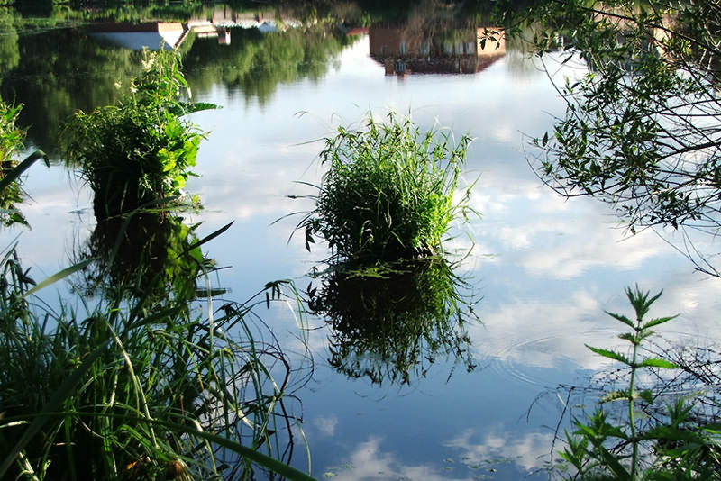 photo "Summer Landscape with Water" tags: landscape, summer, water