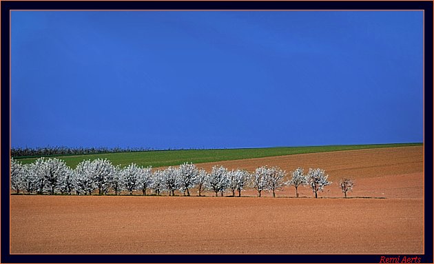 фото "spring" метки: пейзаж, природа, весна