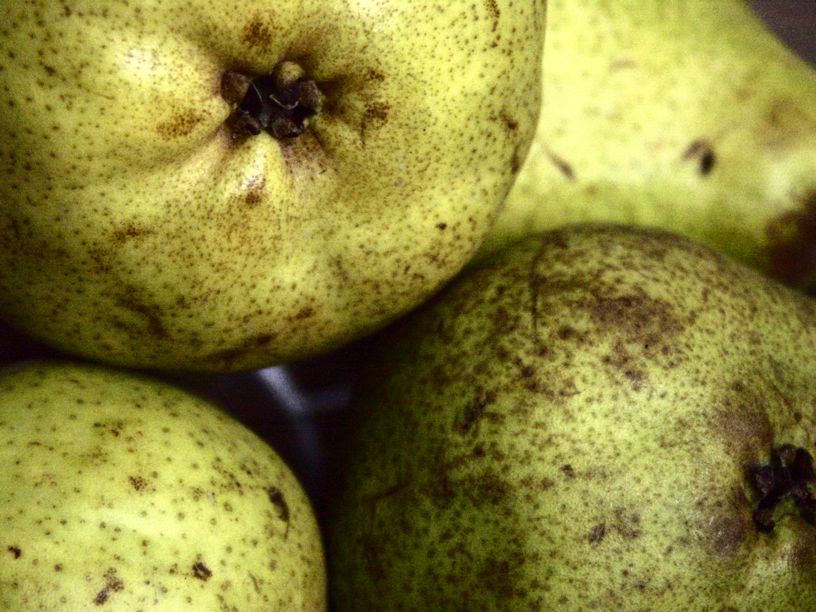 photo "Pears" tags: still life, 