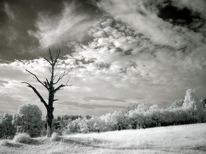 photo "In edges on days - 3" tags: landscape, nature, 