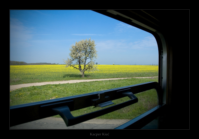 photo "landscape" tags: landscape, spring