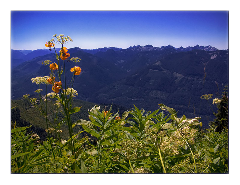 photo "Evergreen Mountain" tags: landscape, mountains, summer