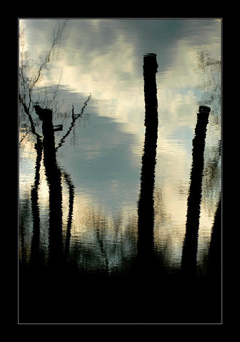 фото "WOOD" метки: пейзаж, природа, вода