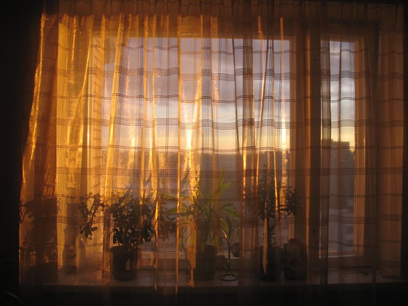 photo "Curtain" tags: misc., 