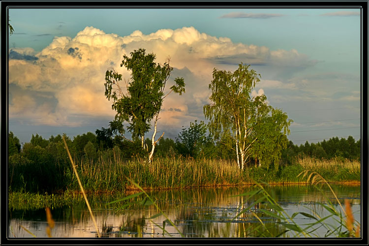 photo "Summer evening" tags: landscape, sunset