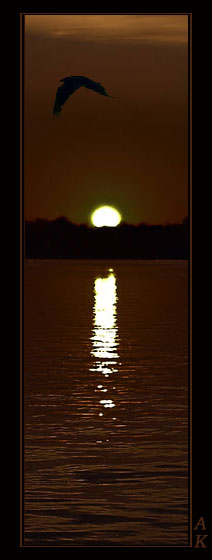 photo "The envoy..." tags: landscape, sunset