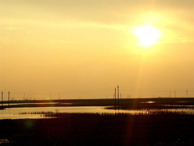 photo "Sundown in tundra." tags: landscape, summer, sunset