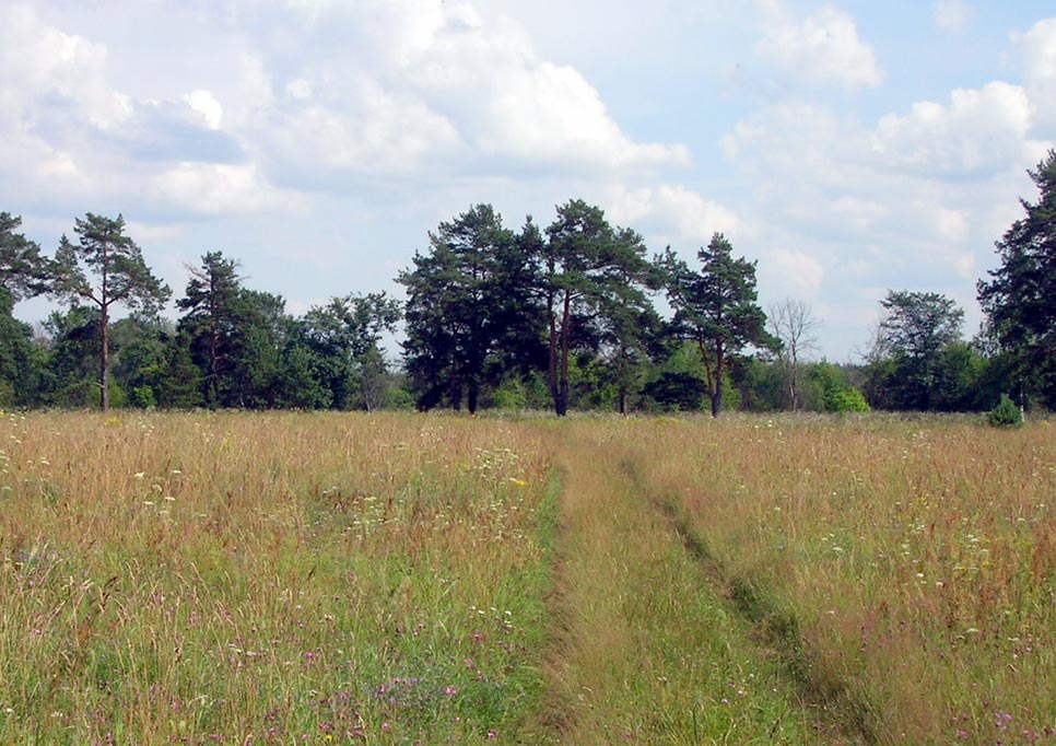 photo "Colors of July - 3" tags: landscape, summer