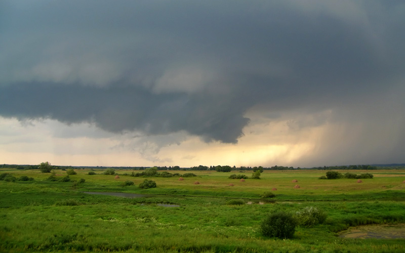 photo "***" tags: landscape, clouds, forest