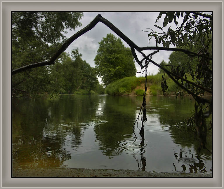 photo "Summer rain" tags: landscape, summer, water