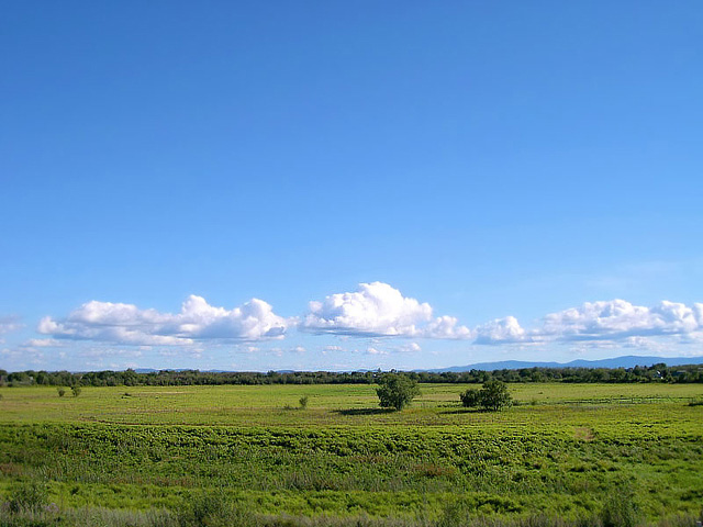 photo "Serenity" tags: landscape, summer