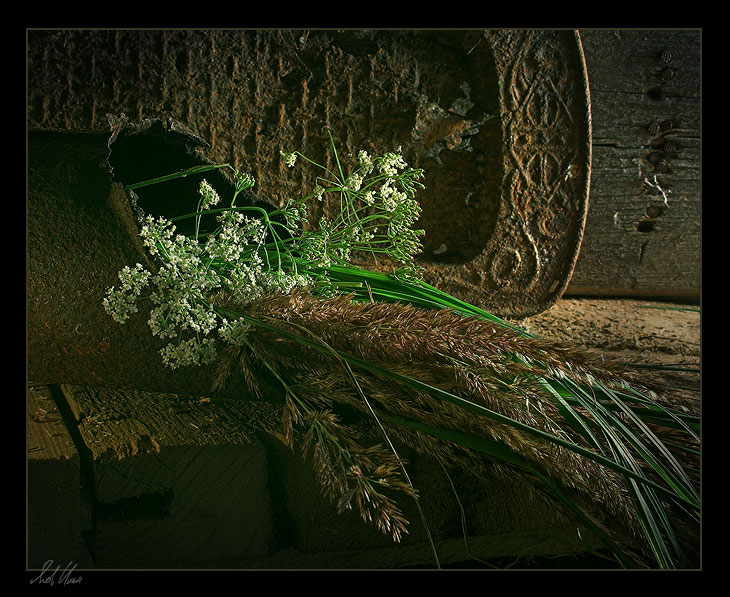 photo "Sad story" tags: still life, nature, flowers