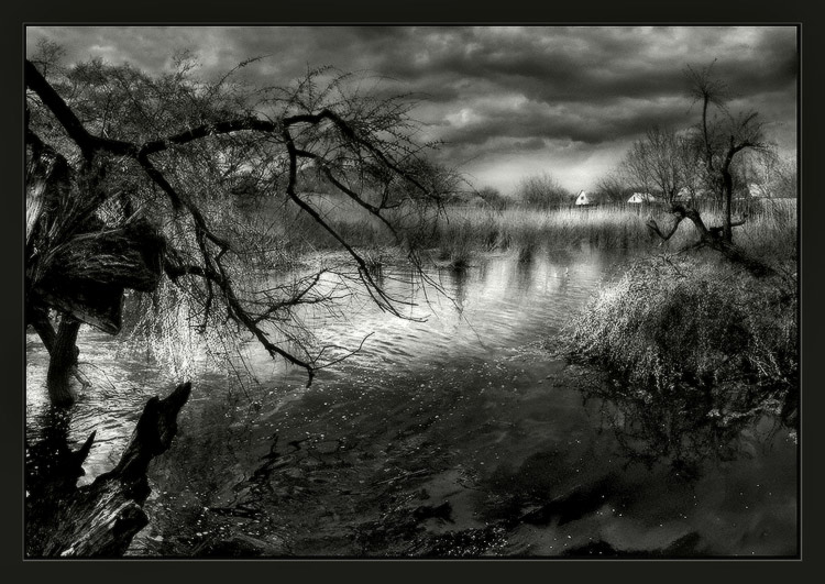 photo "Scenery of spring" tags: black&white, landscape, spring