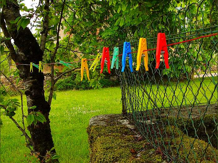 photo "After the rain" tags: landscape, still life, spring