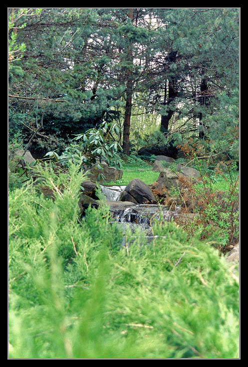 photo "Inside" tags: landscape, forest, water