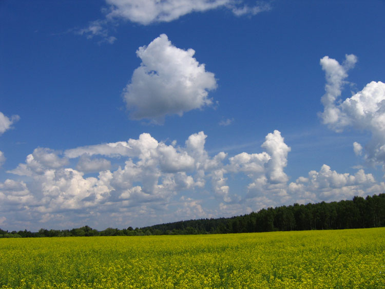 photo "There is no limit to summer" tags: landscape, clouds, summer