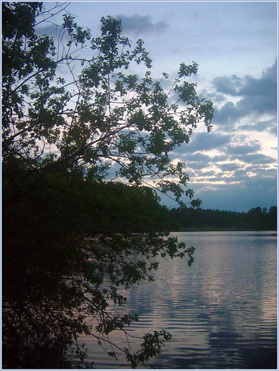 photo "Bush" tags: landscape, clouds, water