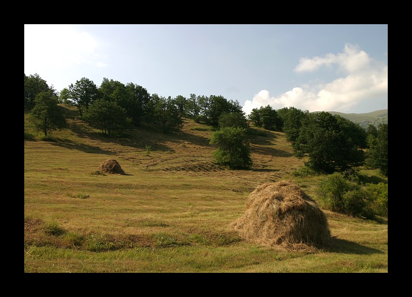 photo "Summer" tags: landscape, summer