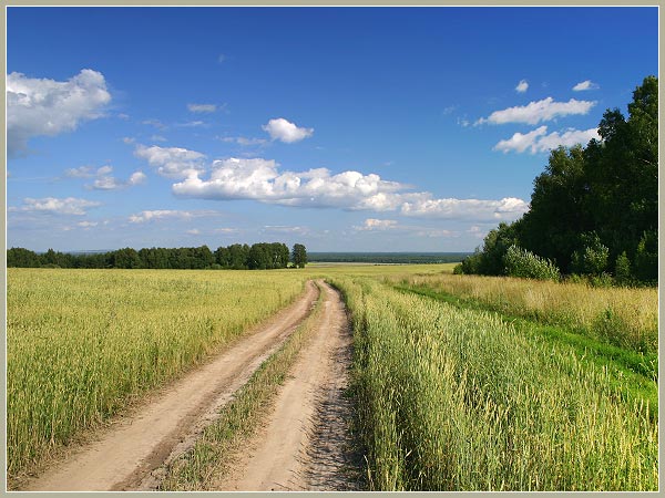 photo "Road to the home" tags: landscape, summer