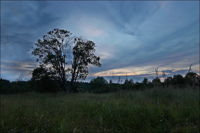 photo "The late evening" tags: landscape, clouds