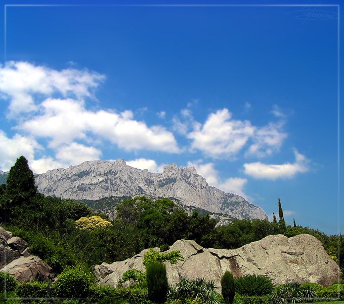 photo "View. Only a view." tags: landscape, nature, flowers, mountains