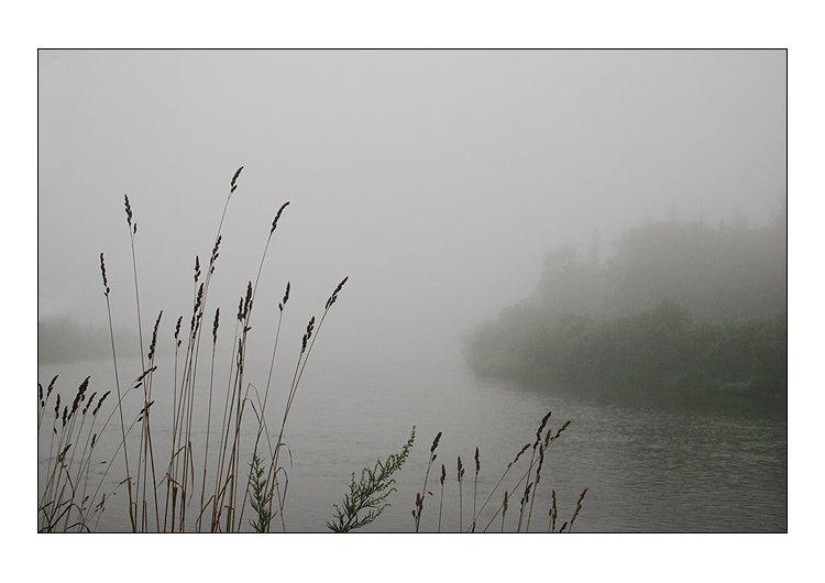 photo "Pictures from the river Mana" tags: landscape, summer, water