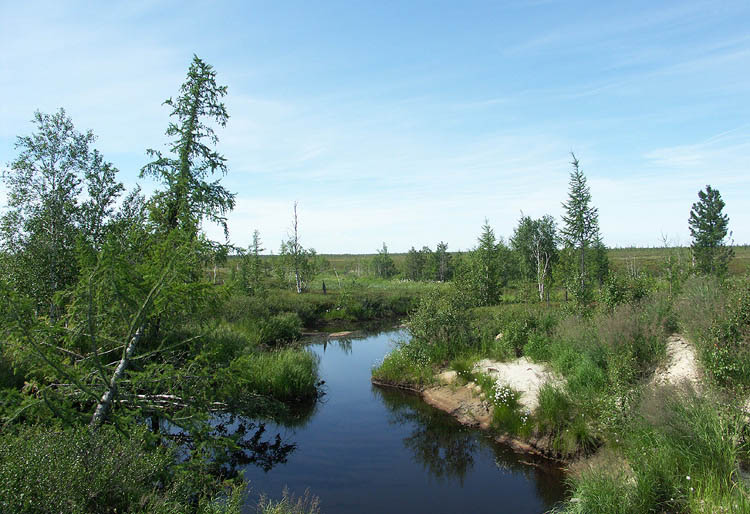 photo "Tundra stream" tags: landscape, summer, water