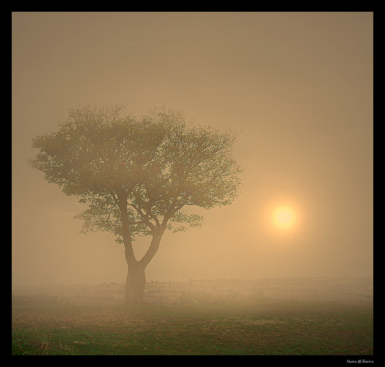 фото "Misty morning" метки: пейзаж, закат