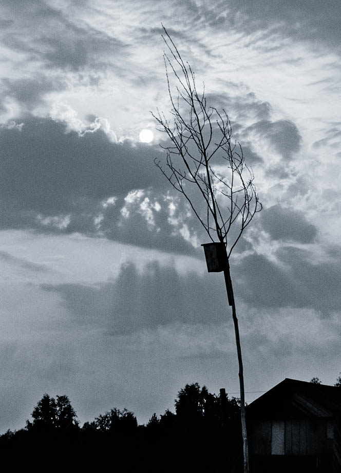 photo "Before thunderstorm" tags: landscape, black&white, clouds