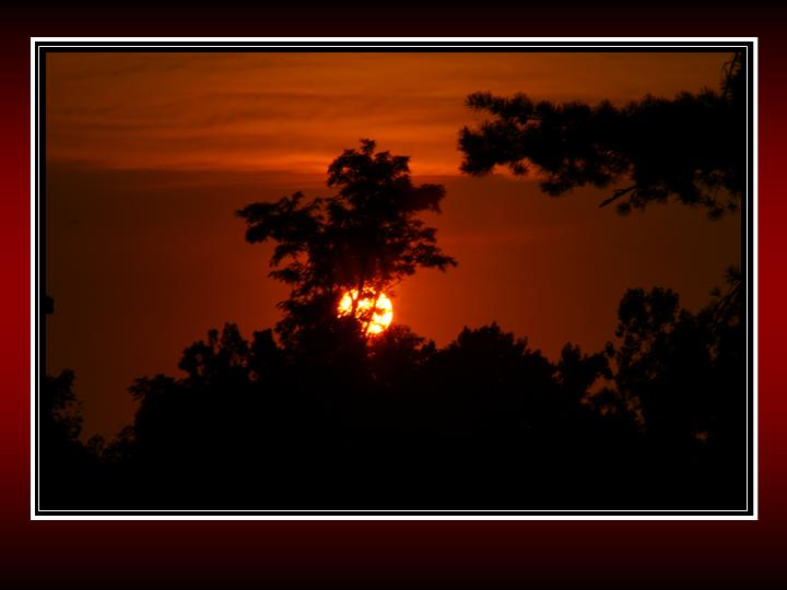 photo "Sun" tags: landscape, travel, North America, sunset