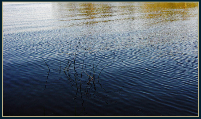 photo "In shadow" tags: landscape, summer, water