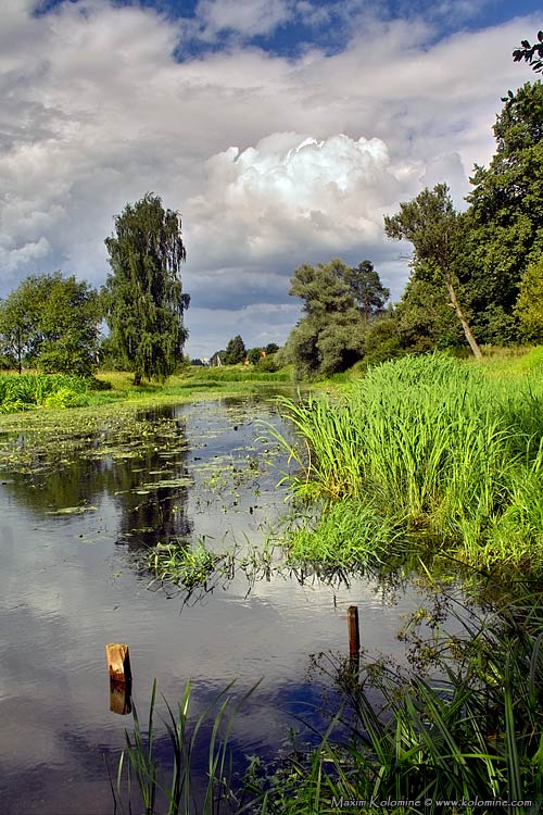 photo "Formerly the navigable river Klyazma..." tags: landscape, water