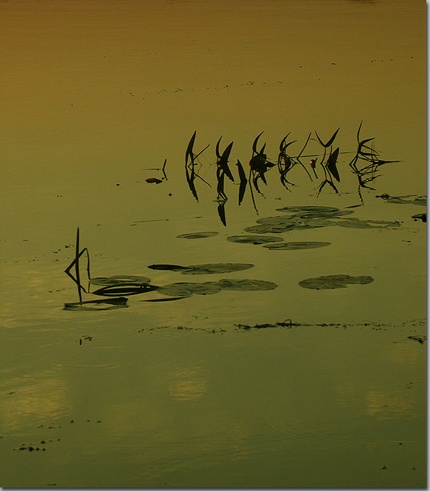 photo "* * *" tags: landscape, sunset, water