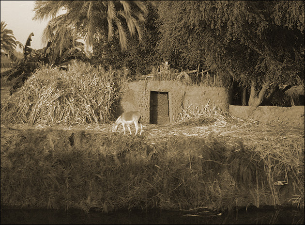 photo "village-evening" tags: travel, black&white, Africa