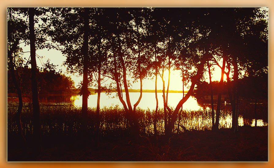 photo "lake-Zvernas" tags: misc., 