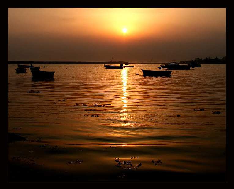 photo "shining water" tags: landscape, sunset, water