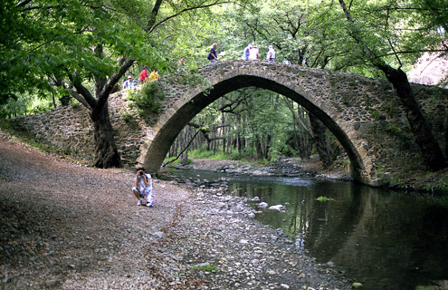 photo "Bridge" tags: landscape, forest