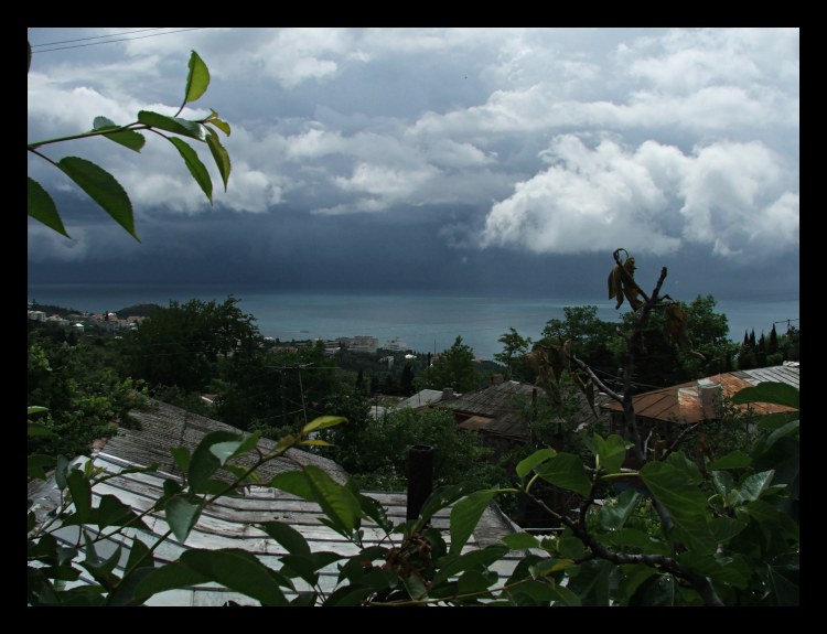 photo "clouds and leaves" tags: landscape, clouds, water