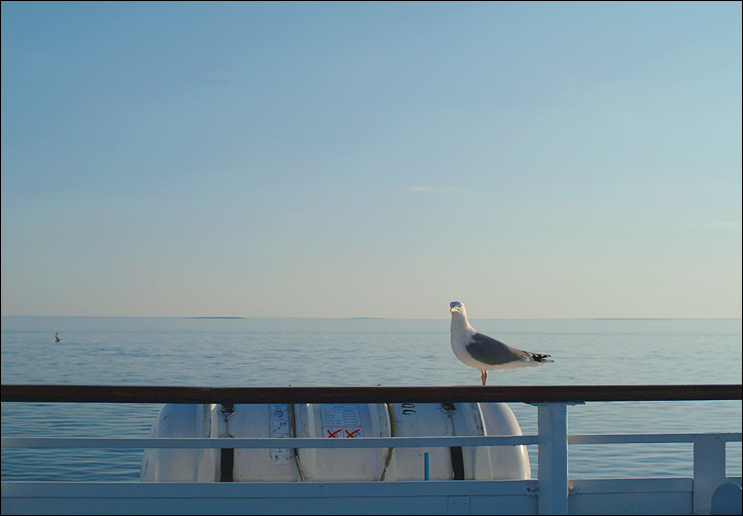 photo "***" tags: landscape, water