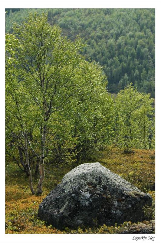 photo "Tundra, Kola peninsula, up north of Russia 4" tags: nature, travel, 