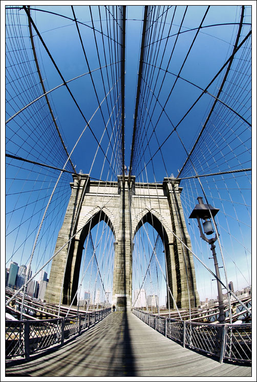 photo "Urban Spider web" tags: travel, architecture, landscape, North America