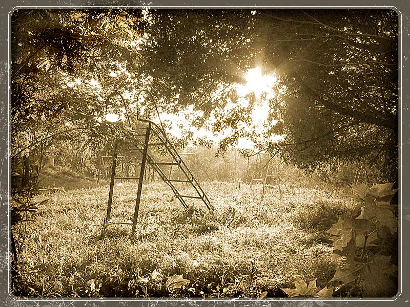 photo "Where the childhood leaves?..." tags: genre, landscape, summer