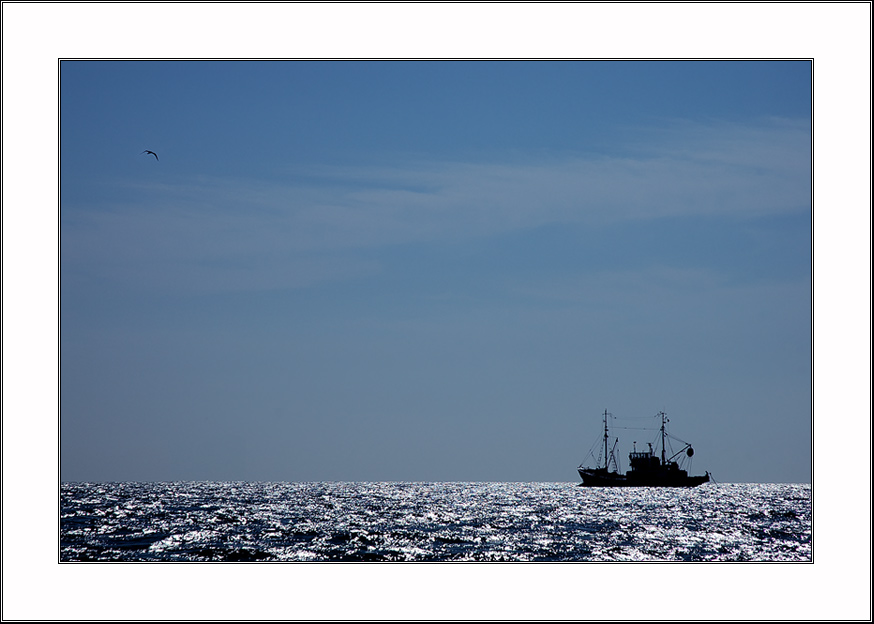 photo "ways of loneliness..." tags: landscape, genre, water