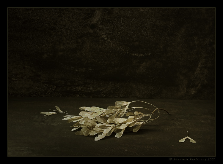 photo "***" tags: still life, 